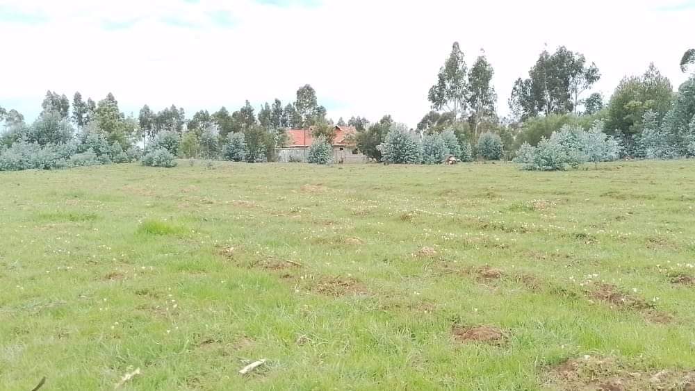 Plot 50 by 100: Kibathi, Gatimu