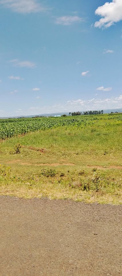 🌳 INVEST IN SERENITY! 🏞️ 2 Acres of Prime Land for Sale – Rongai, Nakuru