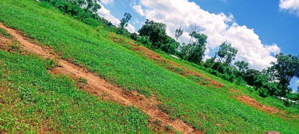 🌿 FOR SALE – Half-Acre Plot in Kiaragana, Runyenjes | Embu County