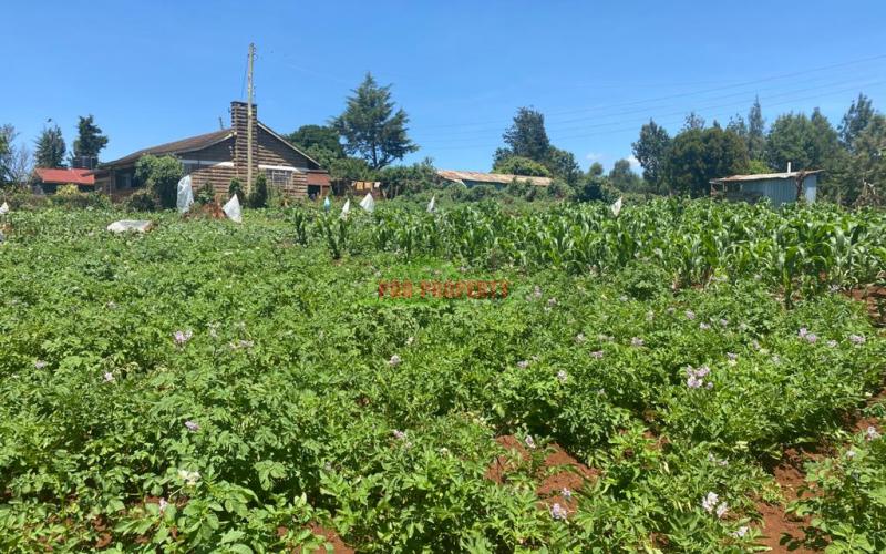 🏡 FOR SALE – ¼ Acre Plot with 2-Bedroom Permanent House | Nthagaiya, Runyenjes