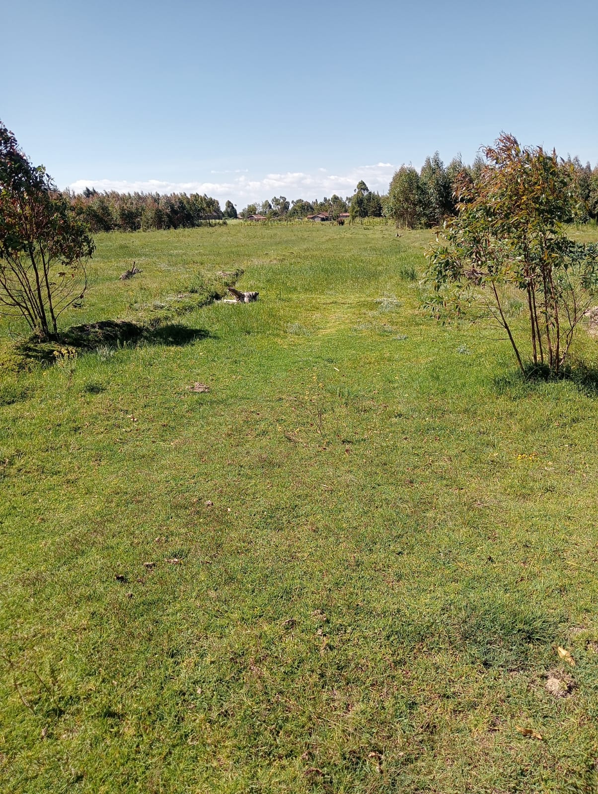 🌆 15 Prime Residential Plots | Mutonyora, South Kinangop – Nyandarua County