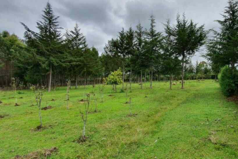🏡8 Prime 50x100ft Plots | Gikingi, Nyahururu – Laikipia County