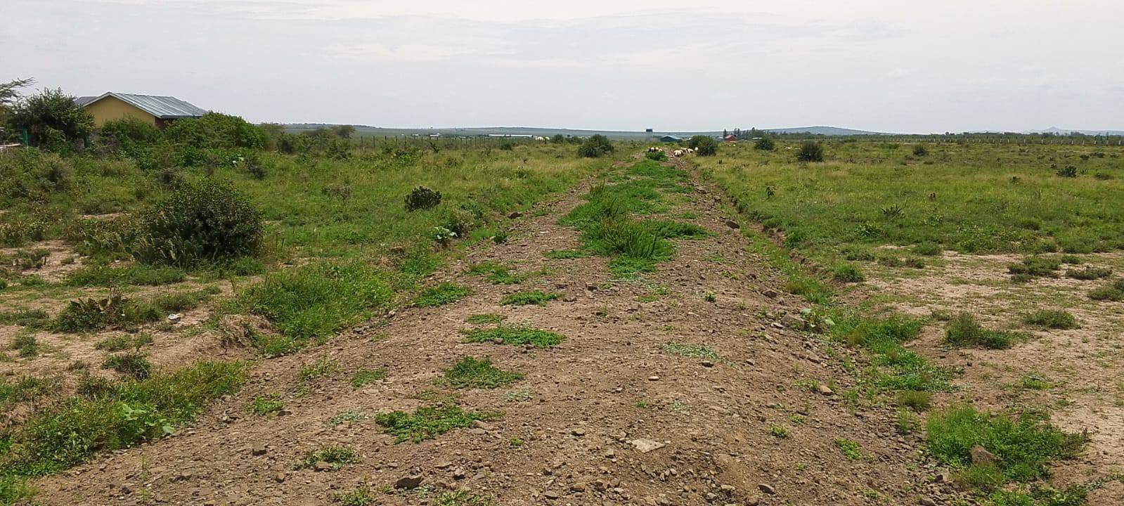 🌄 Prime Plots – Jua Kali, Nanyuki