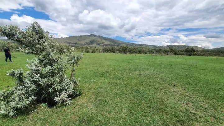 🏞️ 112-Acre Prime Development Block – Kedong, Naivasha