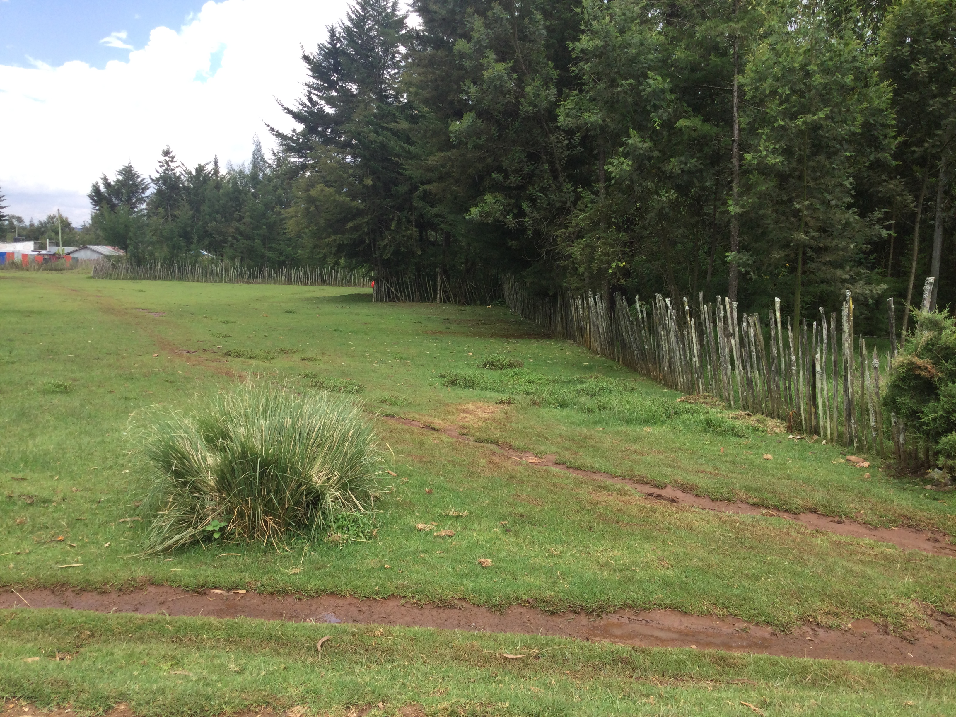 🏡8 Prime 50x100ft Plo remaining  | Emmanuel Estate, Nyahururu – Laikipia County