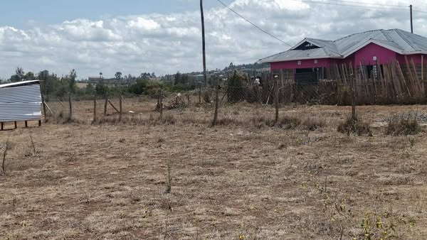 🌳 Mweiga Babito – Afraha Gardens 🌳