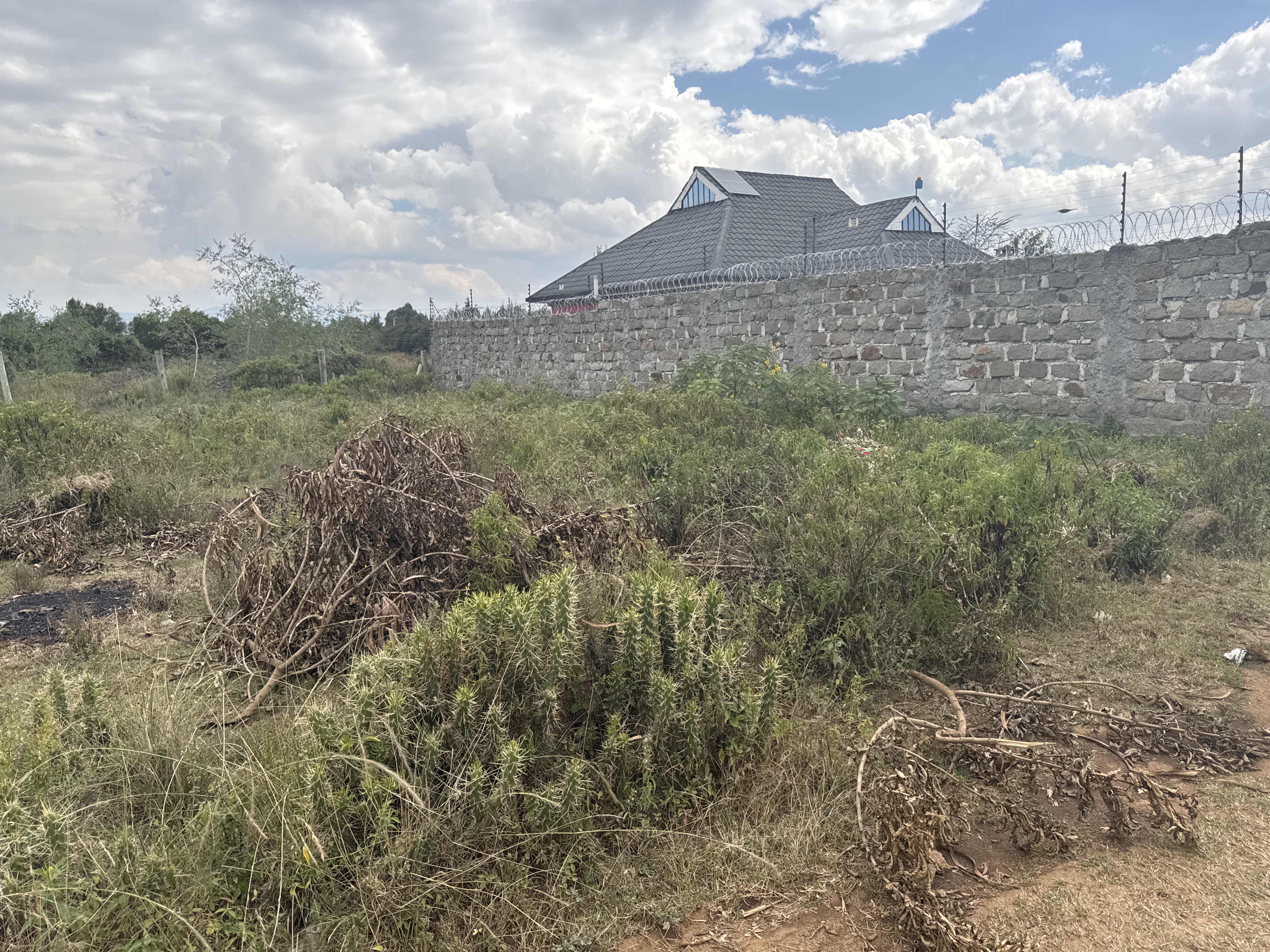 GILGIL/GILGIL BLOCK 1