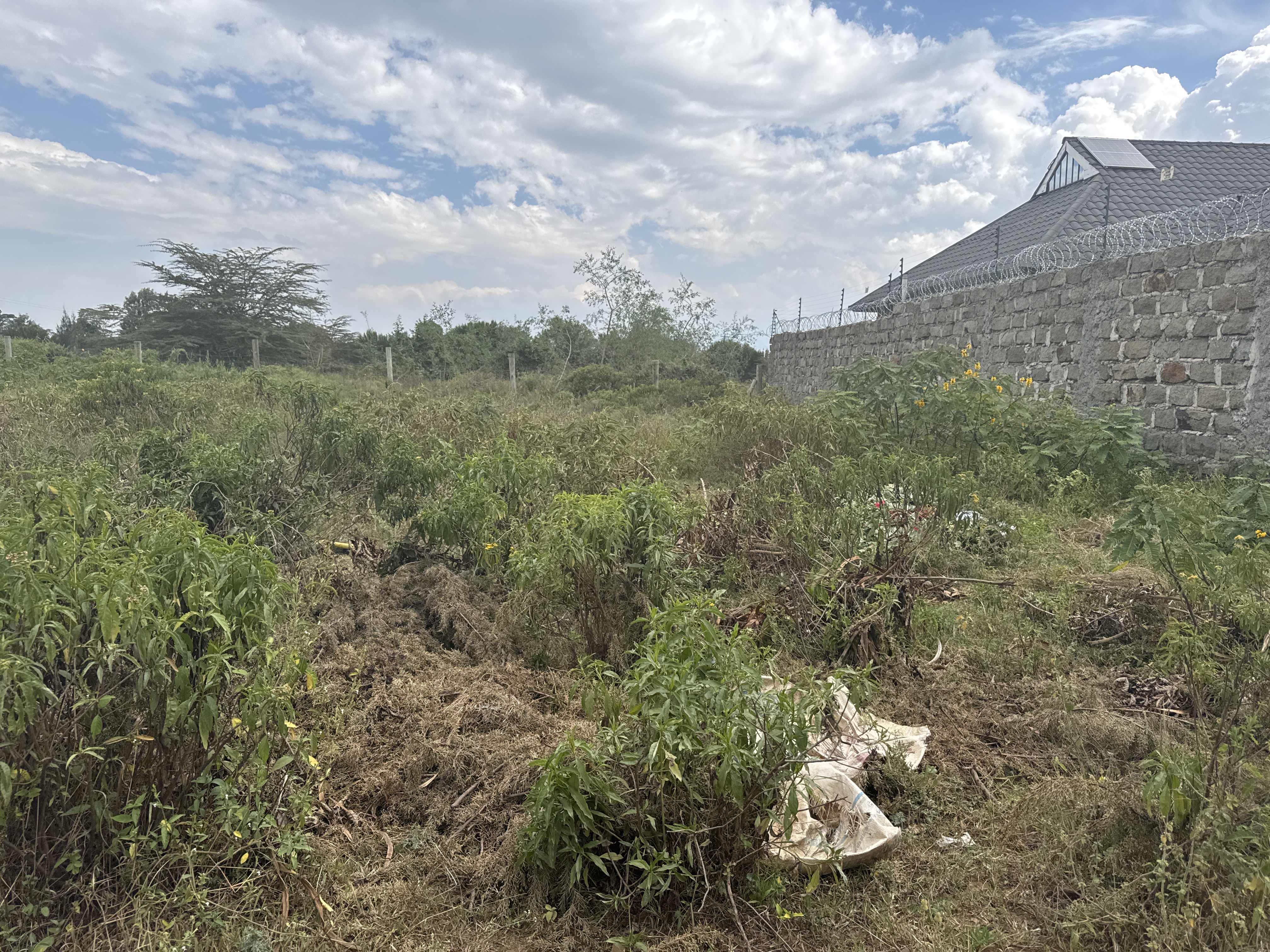 50x100 plot for sale in Gilgil (Kekopey)