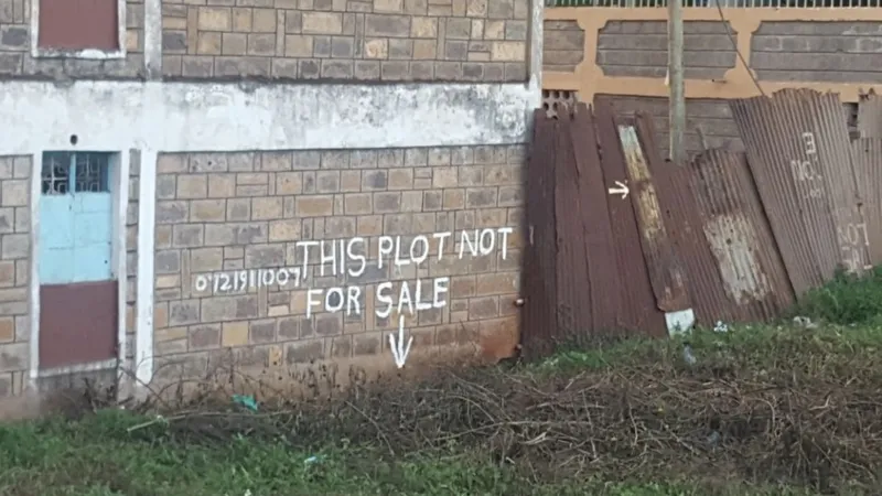 How to avoid being Scammed